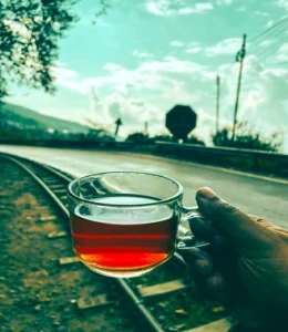 tea cup